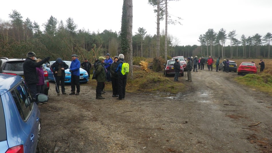 2018-03-07 01 Dunwich Forest.jpg