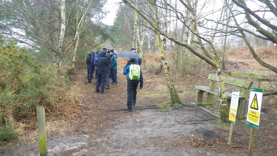 2018-03-07 07 Dunwich Forest.jpg