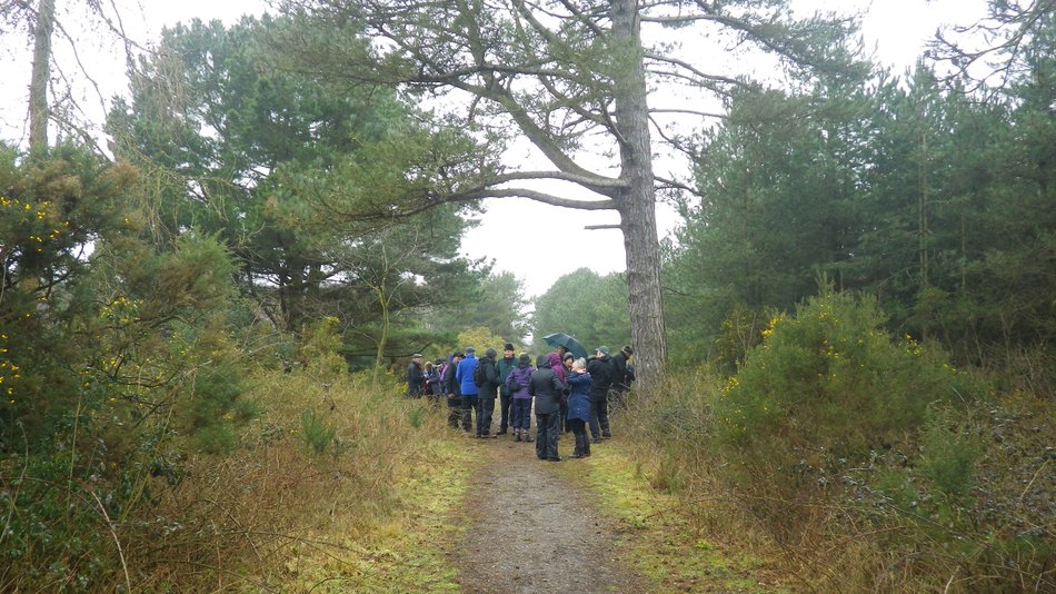 2018-03-07 08 Dunwich Forest.jpg