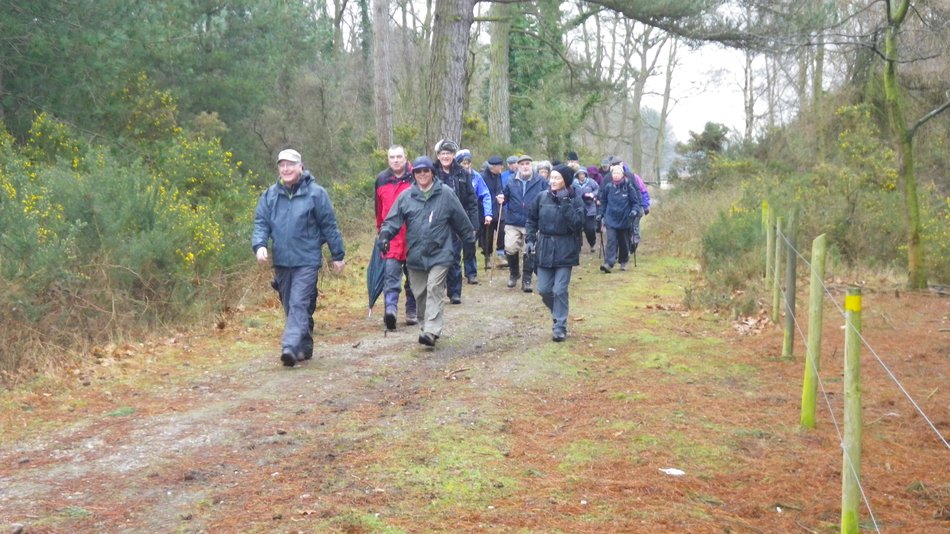 2018-03-07 12 Dunwich Forest.jpg