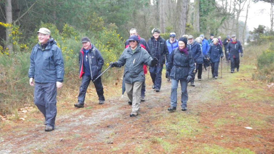 2018-03-07 13 Dunwich Forest.jpg