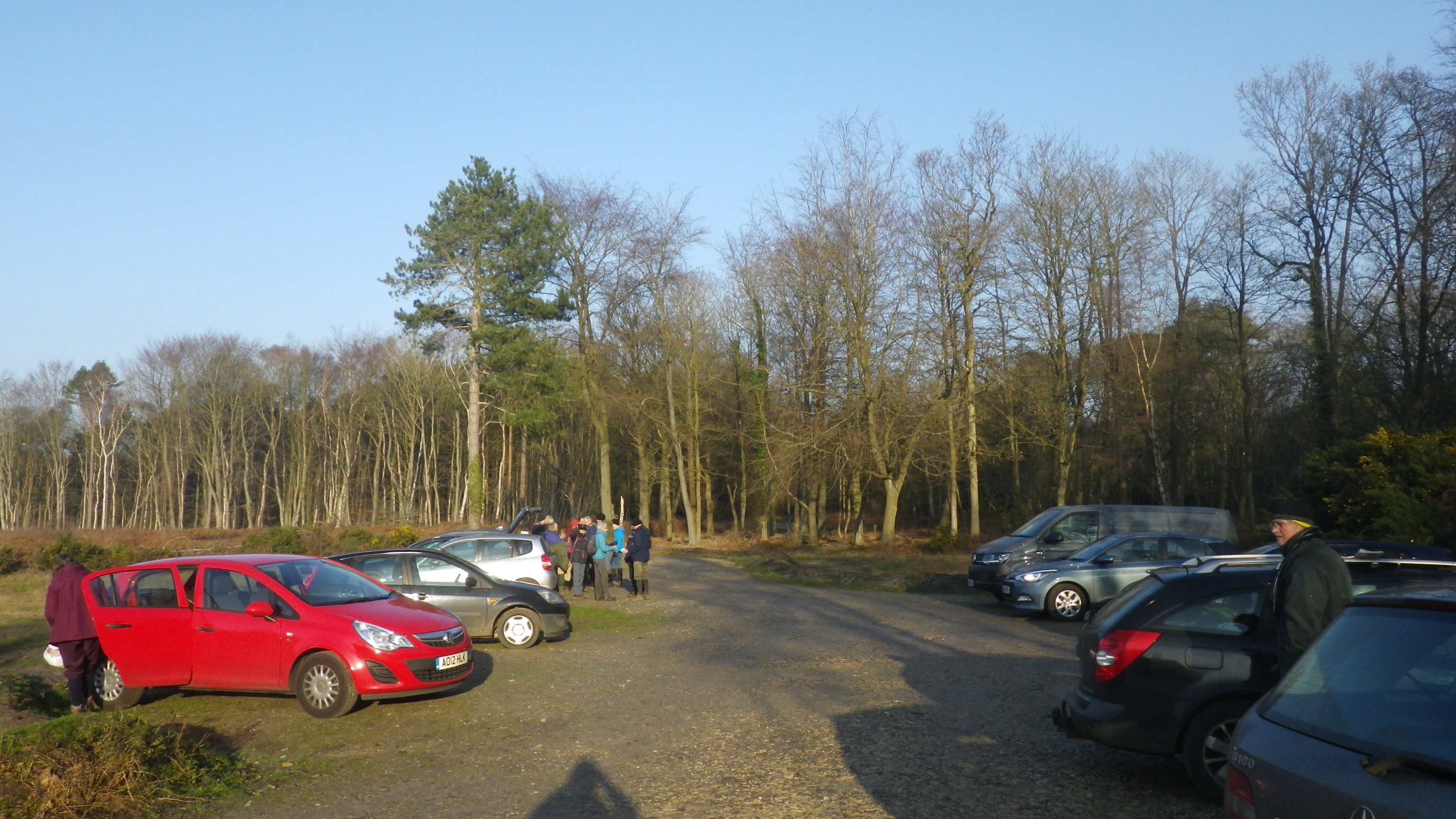 2020-01-01 01 Dunwich Forest.jpg