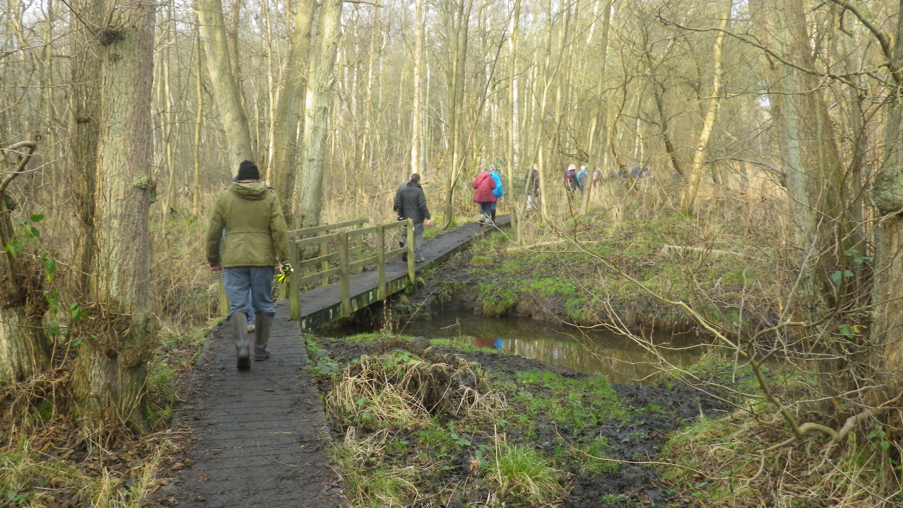 2020-01-01 07 Dunwich Forest.jpg
