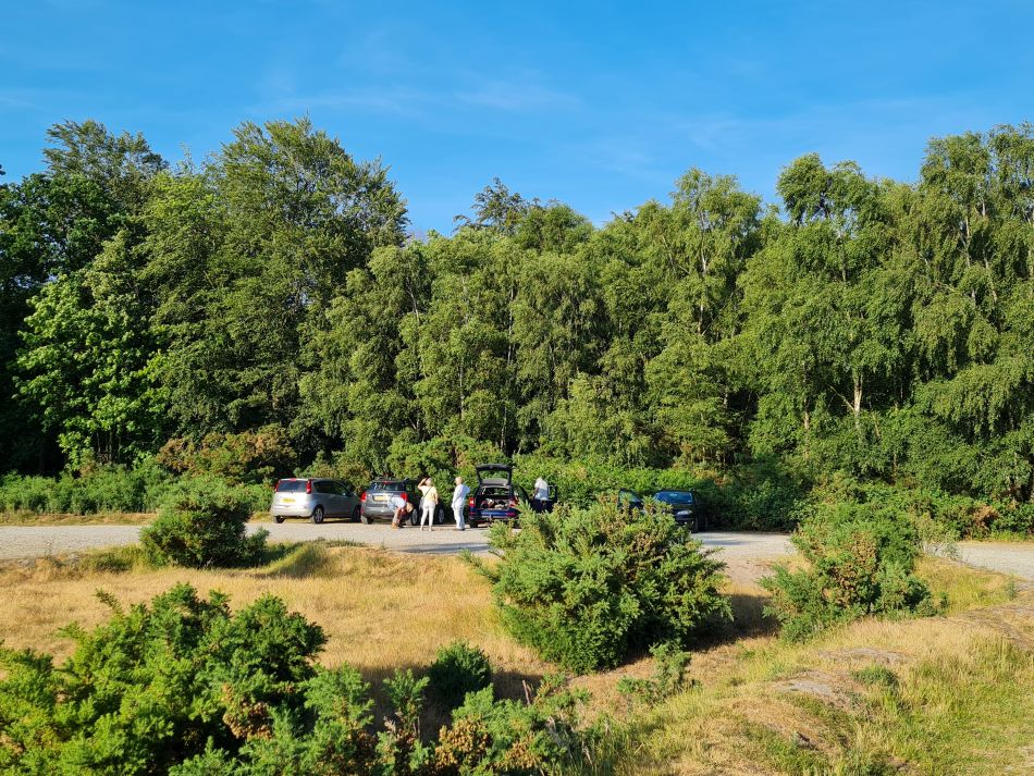 2023-06-19 02 Dunwich Evening Walk.jpg