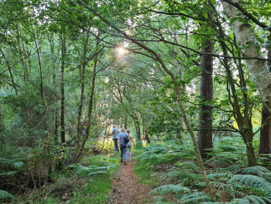 2023-06-19 04 Dunwich Evening Walk.jpg