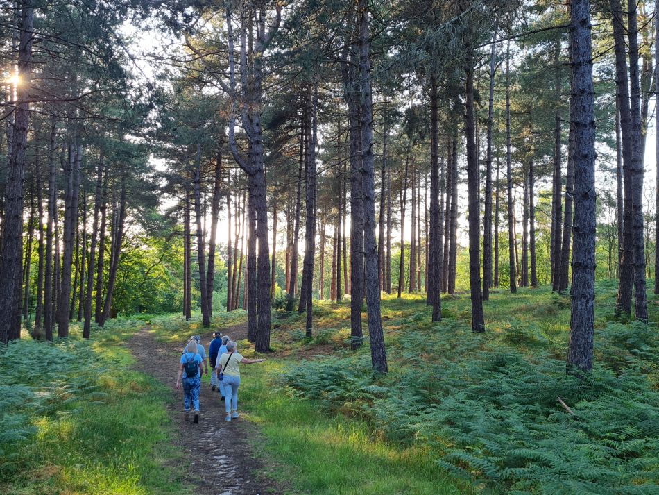 2023-06-19 05 Dunwich Evening Walk.jpg