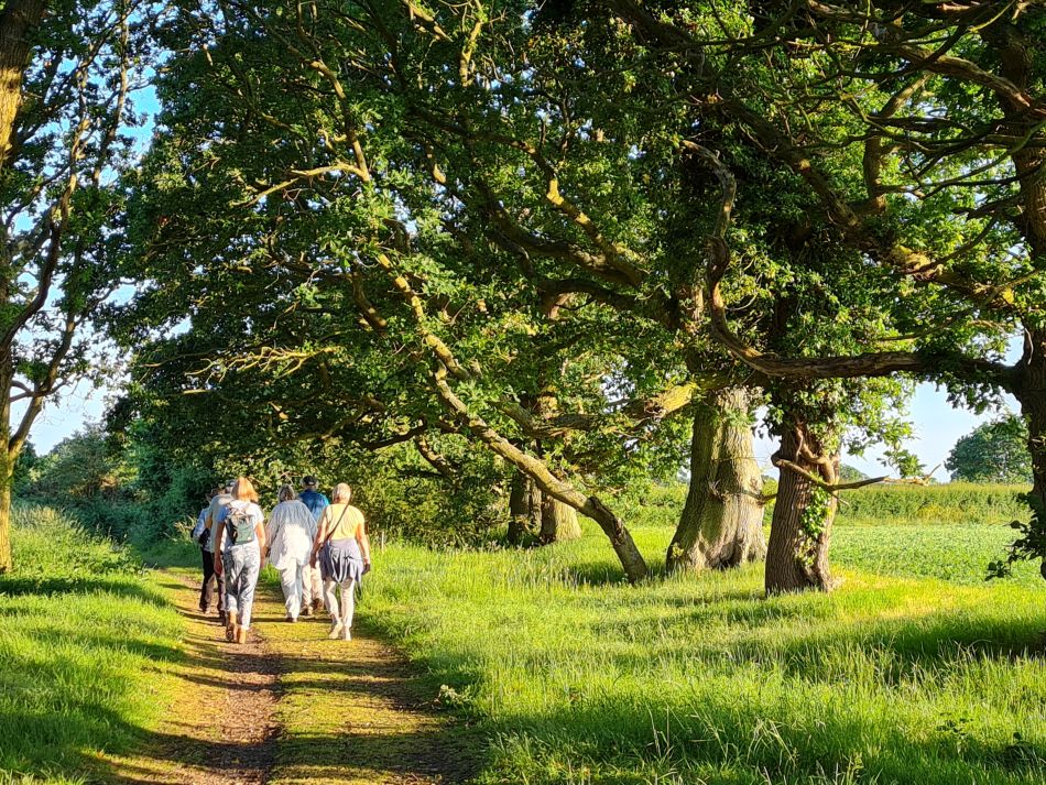 2023-06-19 11 Dunwich Evening Walk.jpg