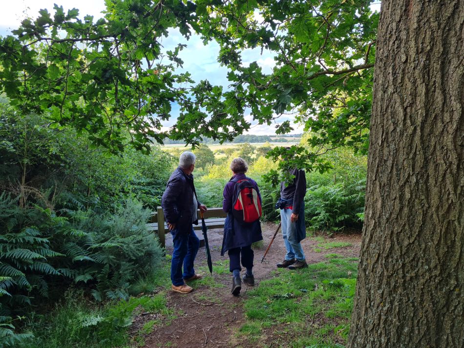 2023-07-03 05 Dunwich Evening Walk.jpg
