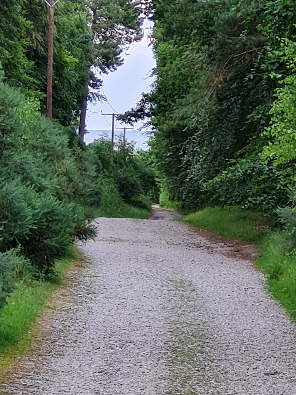 2023-07-03 07 Dunwich Evening Walk.jpg
