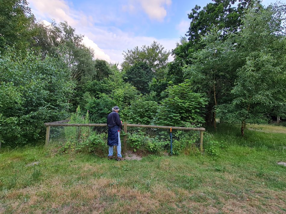 2023-07-03 09 Dunwich Evening Walk.jpg