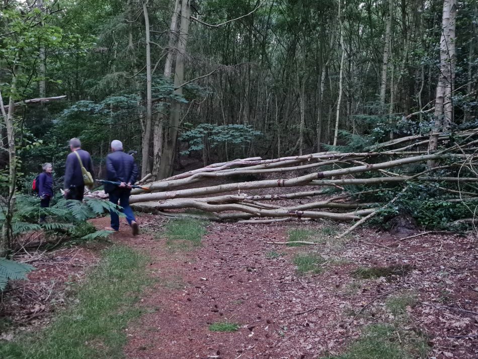 2023-07-03 10 Dunwich Evening Walk.jpg