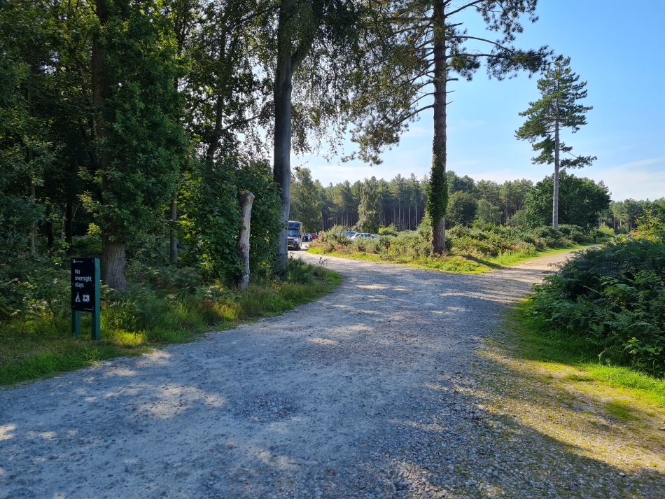 2023-08-16 02 Dunwich Forest.jpg