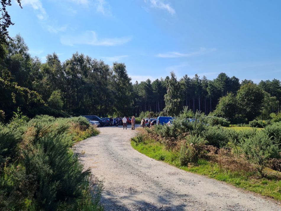 2023-08-16 04 Dunwich Forest.jpg