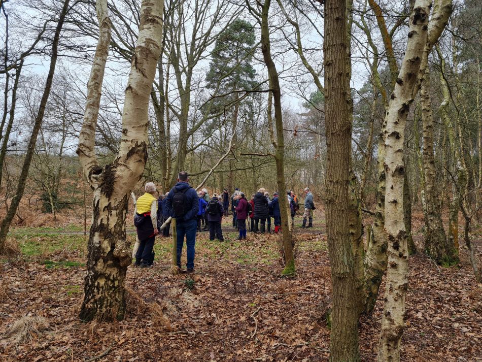 2024-02-28 03 Dunwich Forest.jpg