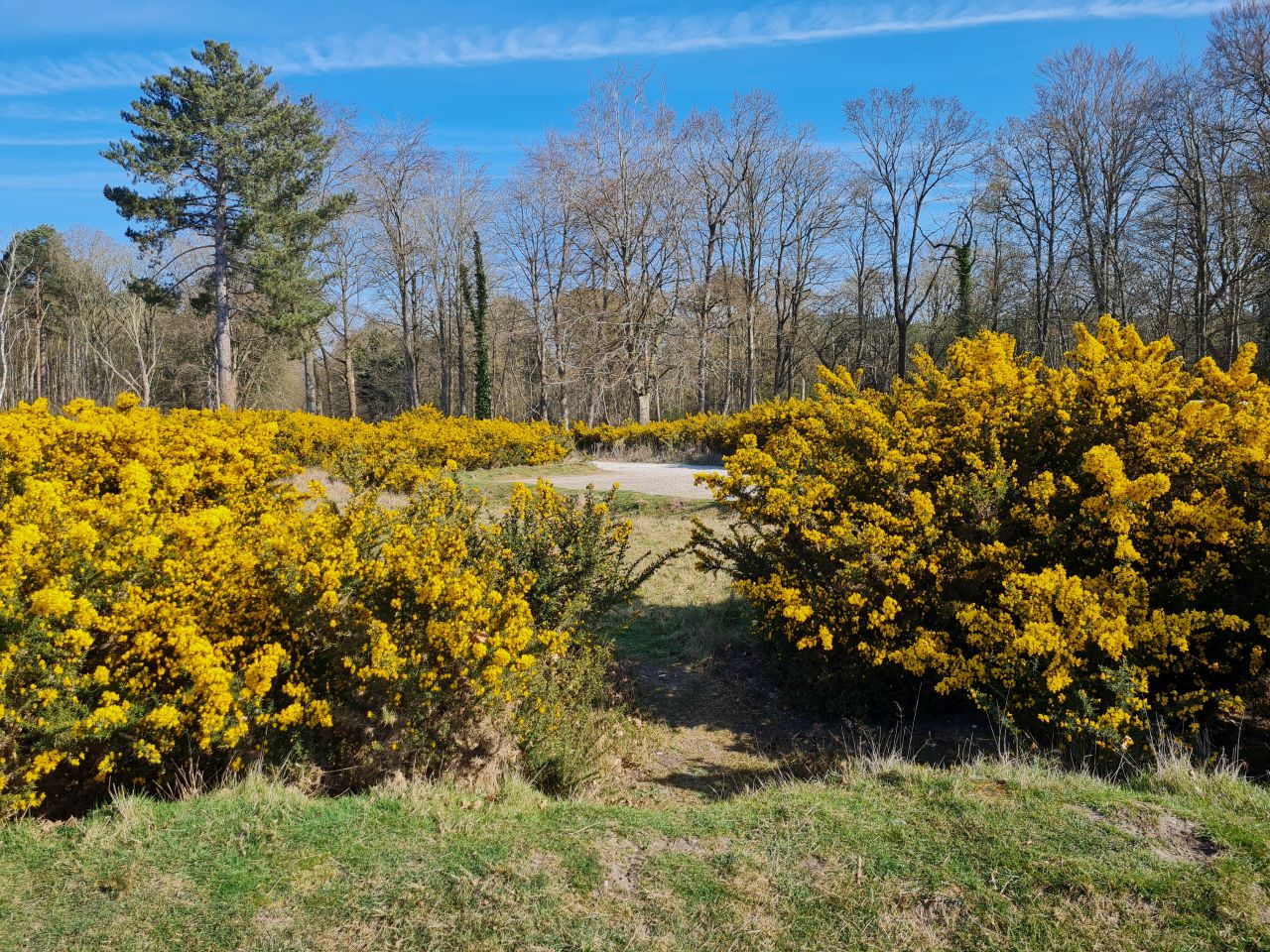 2025-04-11 01 Dunwich Fredericks Mount.jpg