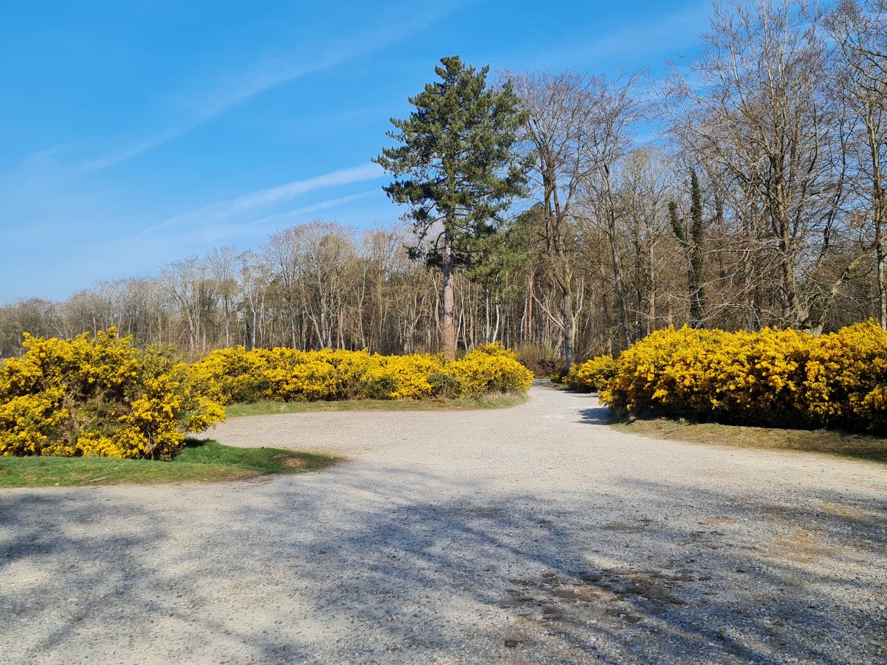 2025-04-11 02 Dunwich Fredericks Mount.jpg