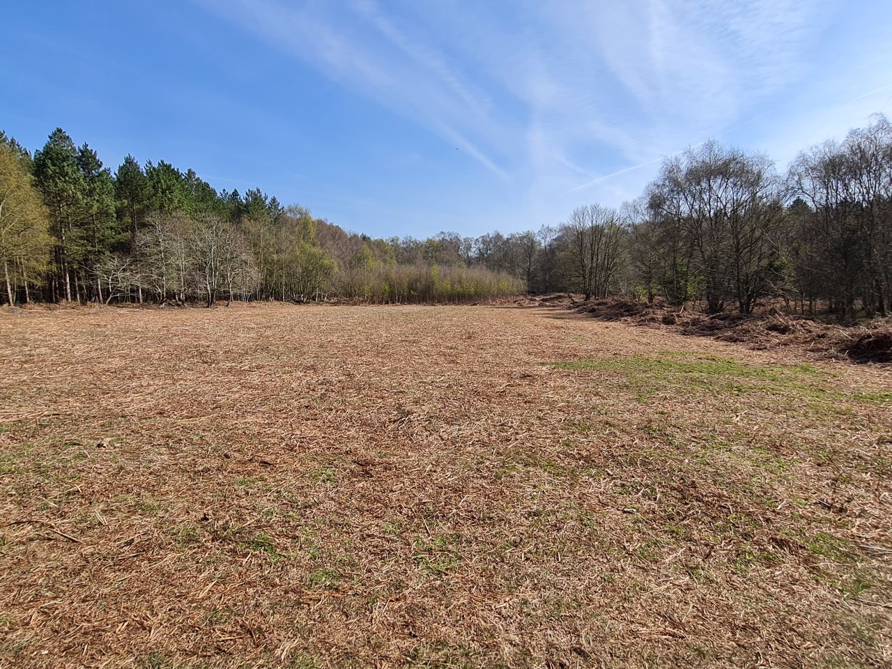 2025-04-11 07 Dunwich Fredericks Mount.jpg