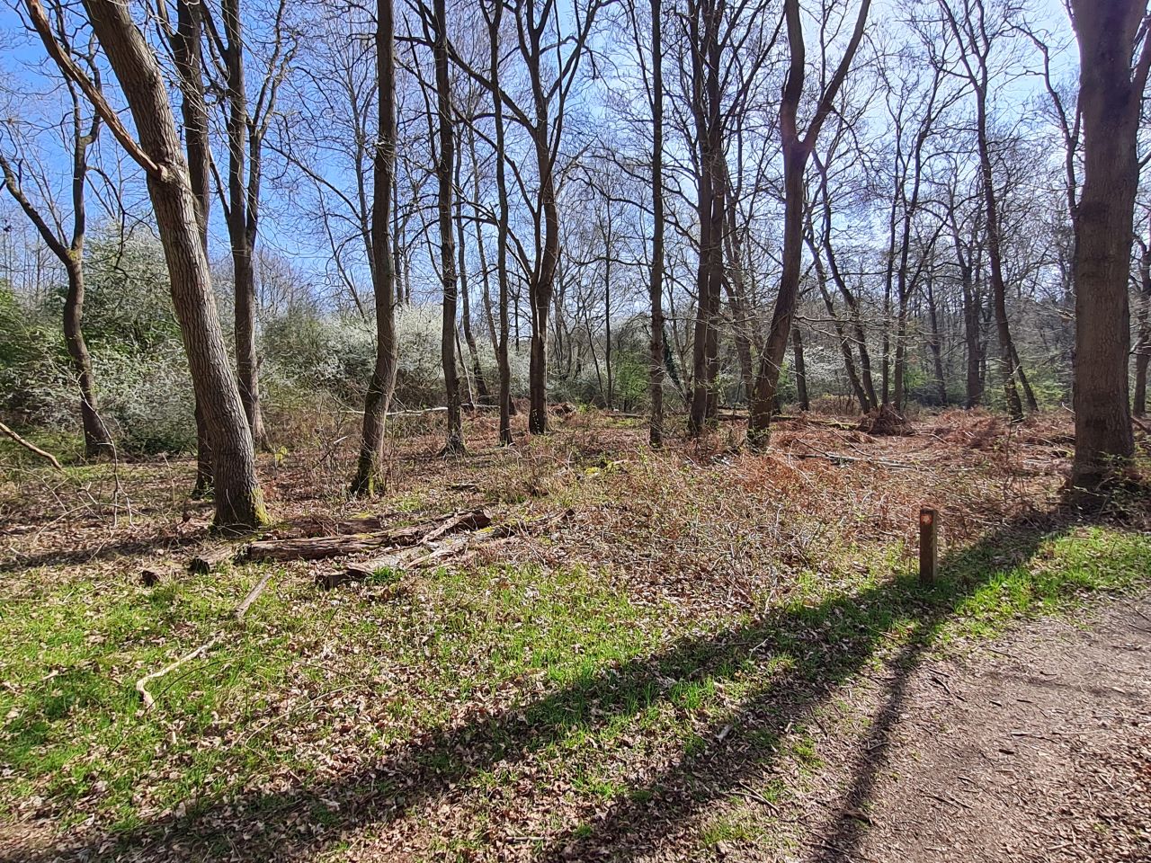 2025-04-11 09 Dunwich Fredericks Mount.jpg