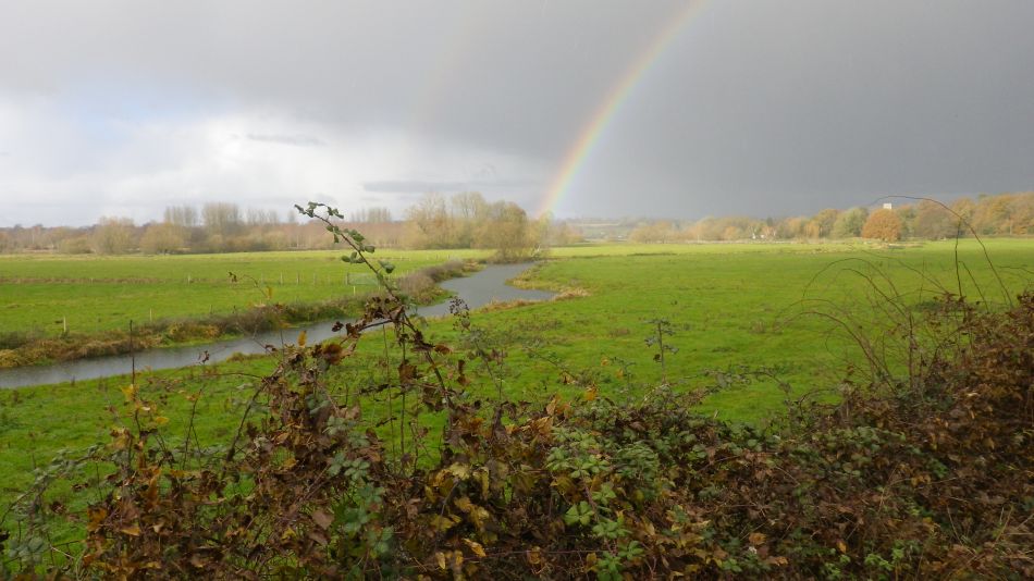 2016-05-16 06 Angles Way 16.jpg