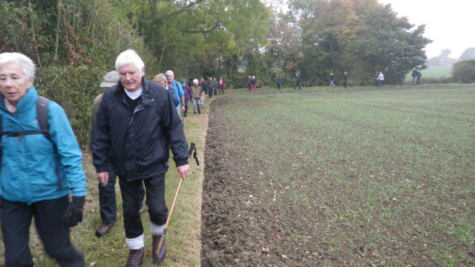 2016-10-26 05 Alburgh Area.jpg