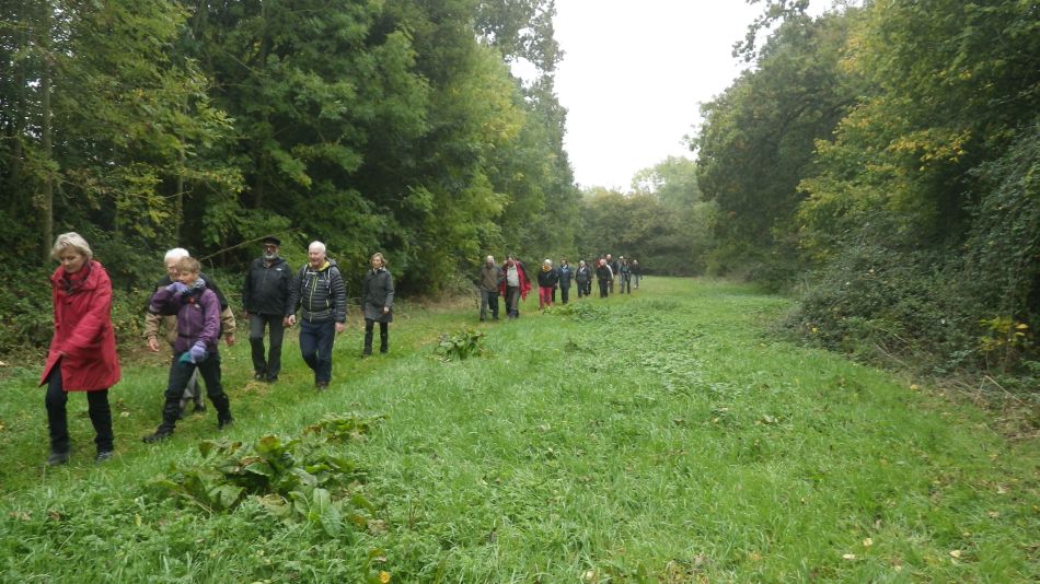 2016-10-26 06 Alburgh Area.jpg