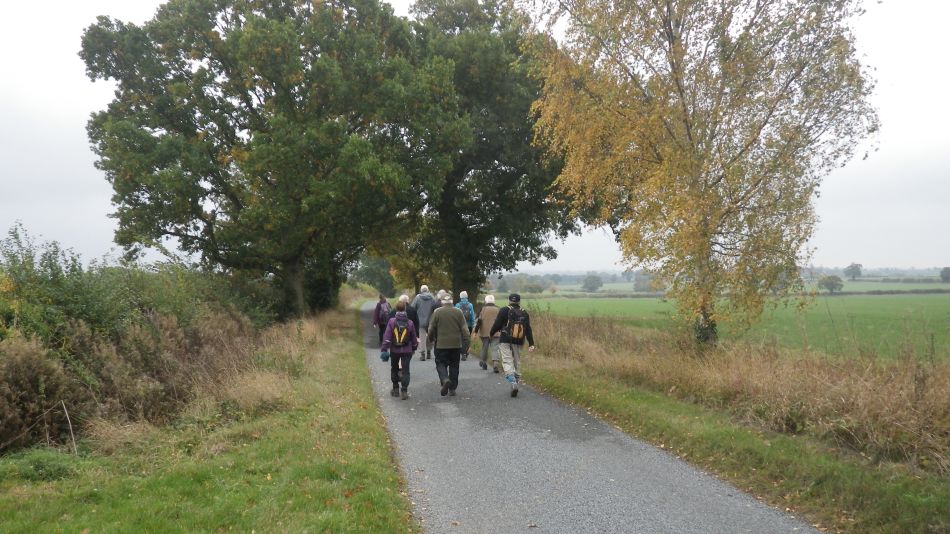 2016-10-26 08 Alburgh Area.jpg