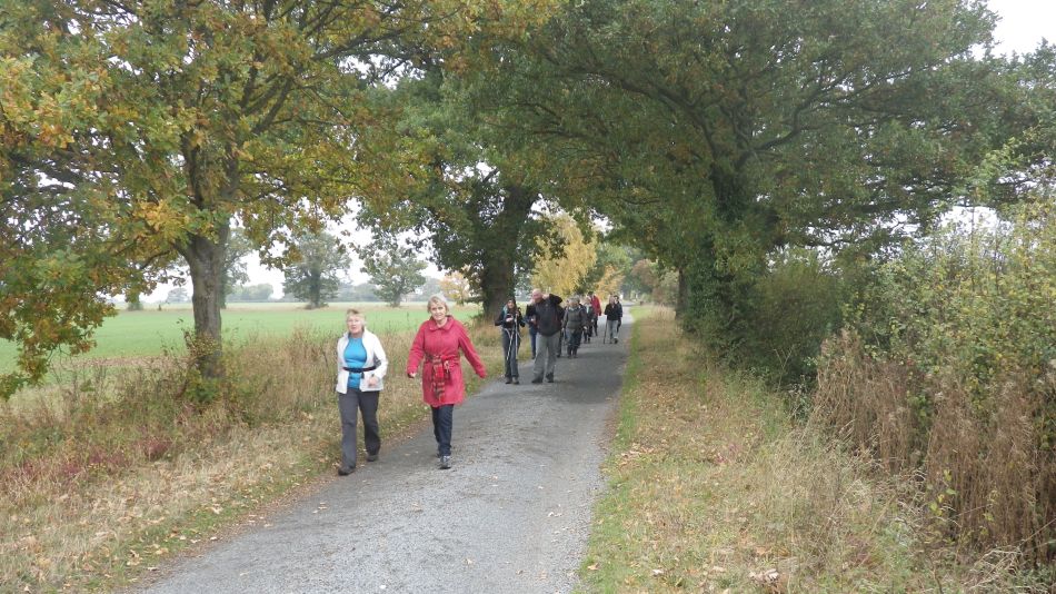 2016-10-26 11 Alburgh Area.jpg