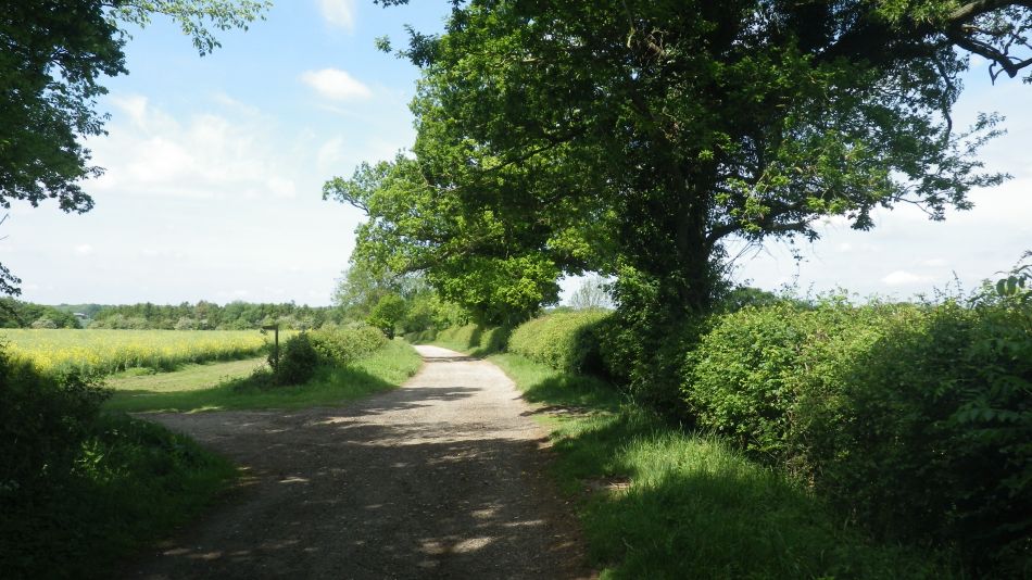 2017-05-24 01 Homersfield and Alburgh.jpg