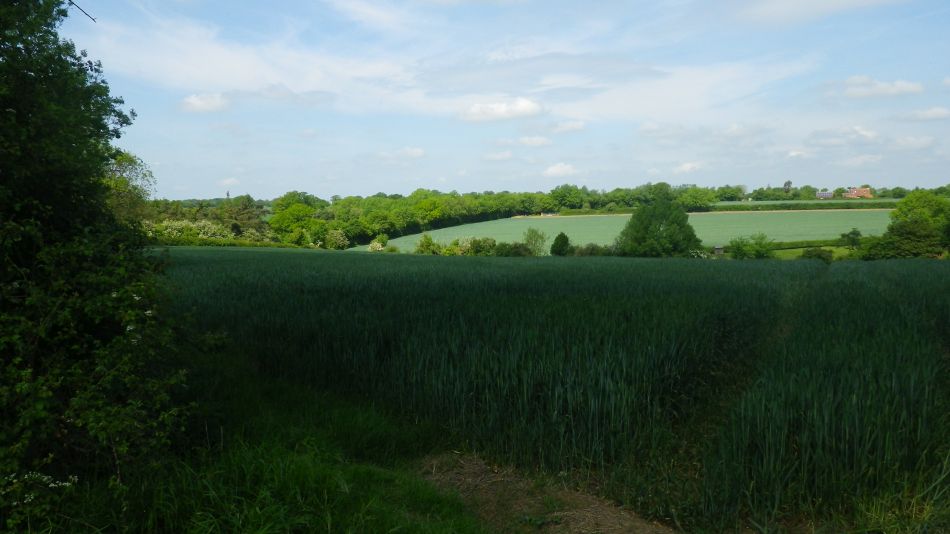 2017-05-24 02 Homersfield and Alburgh.jpg