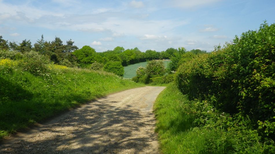 2017-05-24 03 Homersfield and Alburgh.jpg