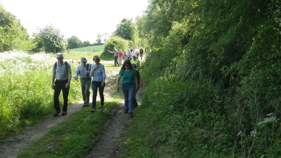 2017-05-24 04 Homersfield and Alburgh.jpg