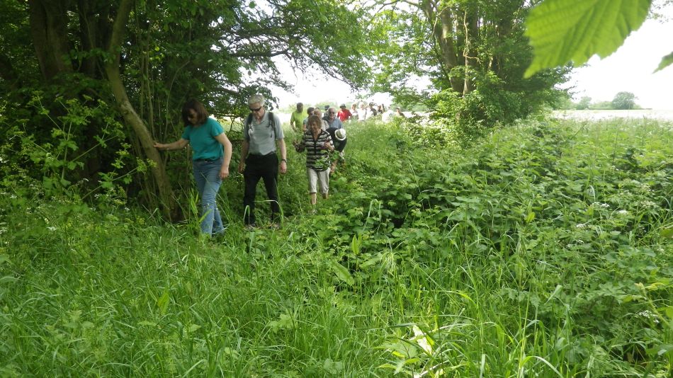 2017-05-24 14 Homersfield and Alburgh.jpg