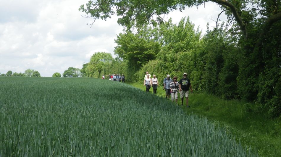 2017-05-24 15 Homersfield and Alburgh.jpg