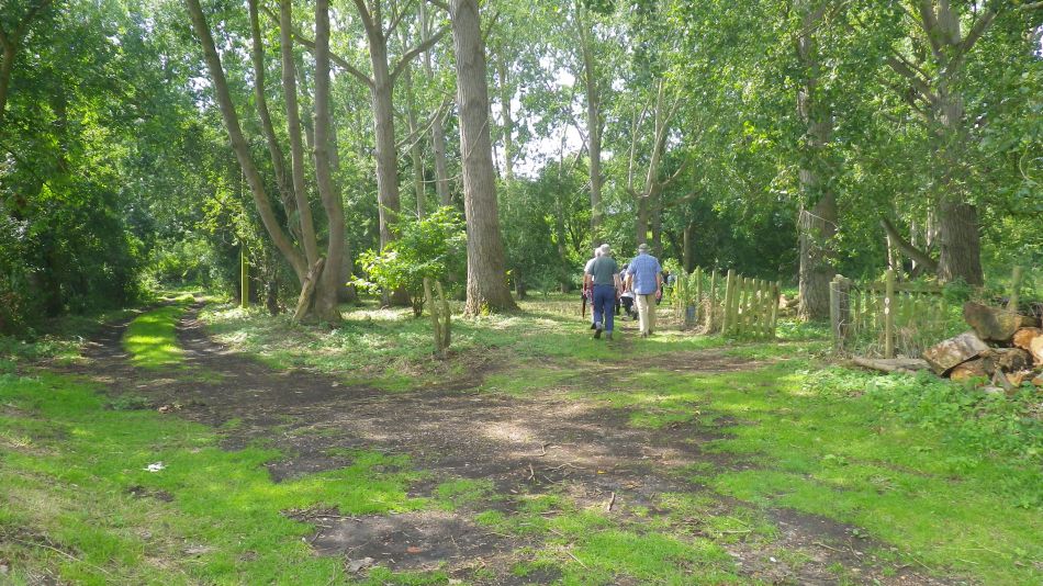 2017-07-19 04 Homersfield Alburgh Wortwell.jpg