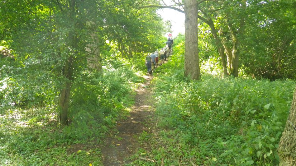 2017-07-19 05 Homersfield Alburgh Wortwell.jpg