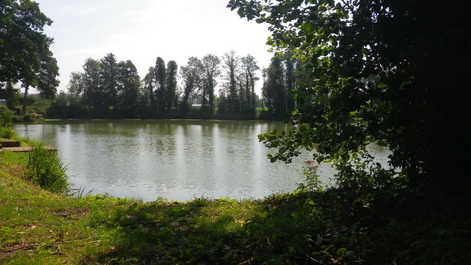 2017-07-19 11 Homersfield Alburgh Wortwell.jpg