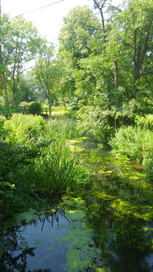 2017-07-19 15 Homersfield Alburgh Wortwell.jpg