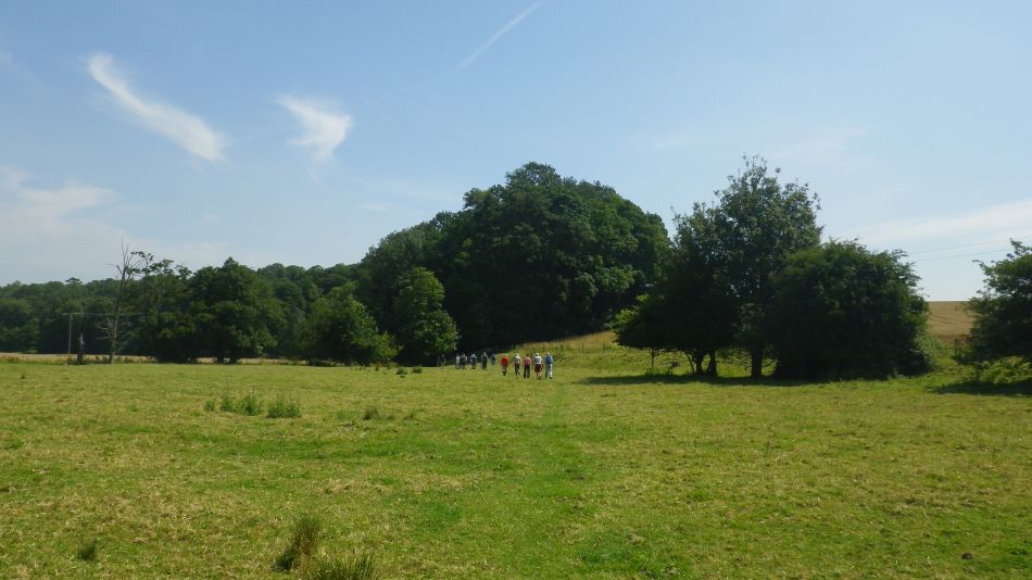 2017-07-19 21 Homersfield Alburgh Wortwell.jpg