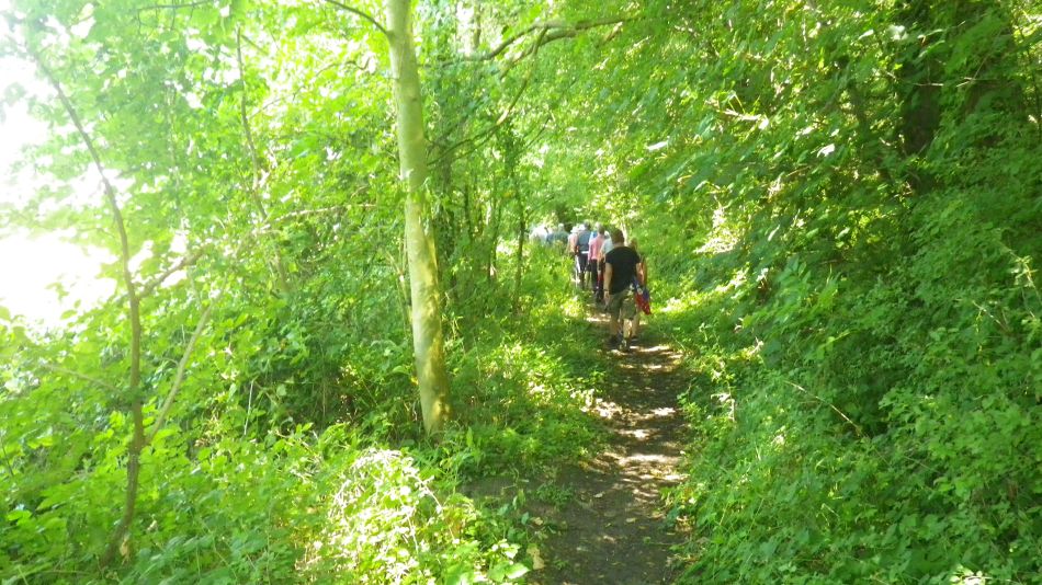 2017-07-19 22 Homersfield Alburgh Wortwell.jpg