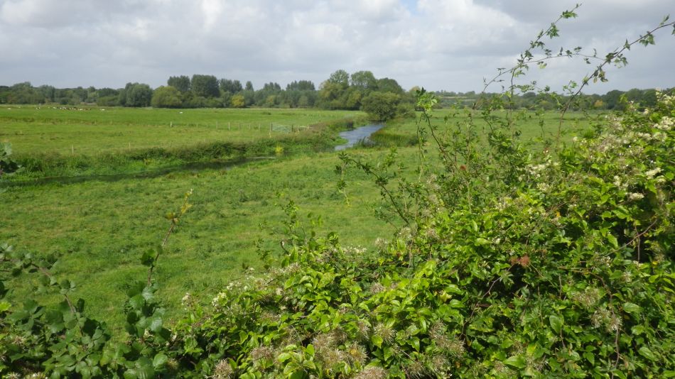 2017-09-06 04 Homersfield and Mendham.jpg