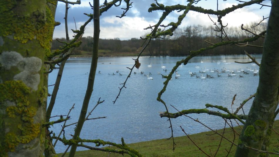 2017-11-29 02 Homersfield and Sand Pits.jpg