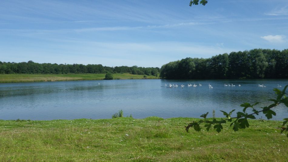 2019-07-04 02 Waveney Way 9 - Flixton.jpg