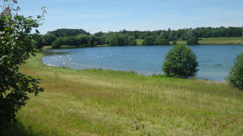 2019-07-04 14 Waveney Way 9 - Flixton.jpg