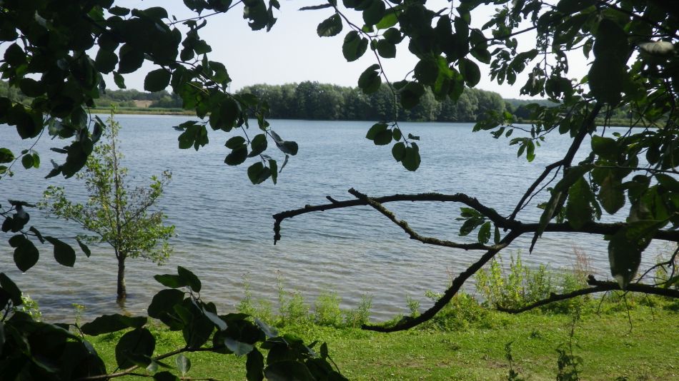 2019-07-25 06 Homersfield.jpg