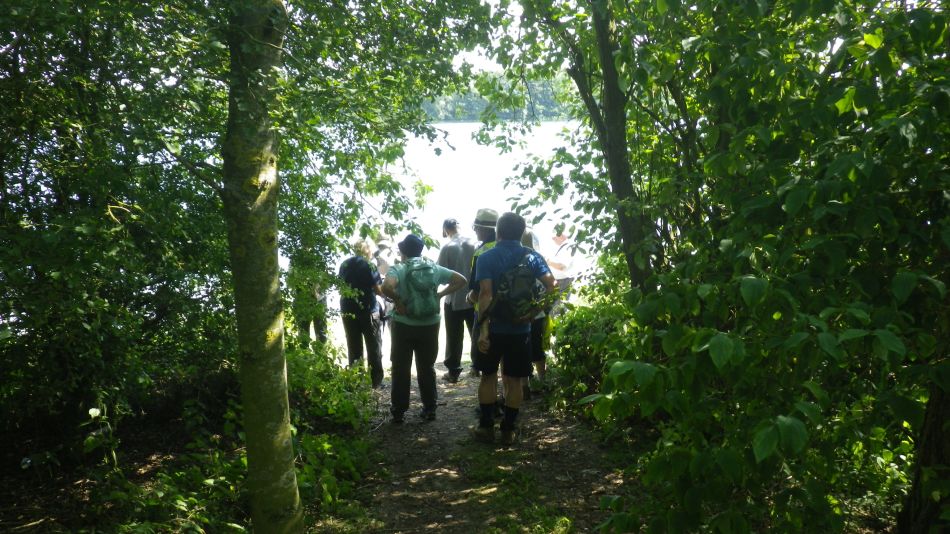 2019-07-25 07 Homersfield.jpg