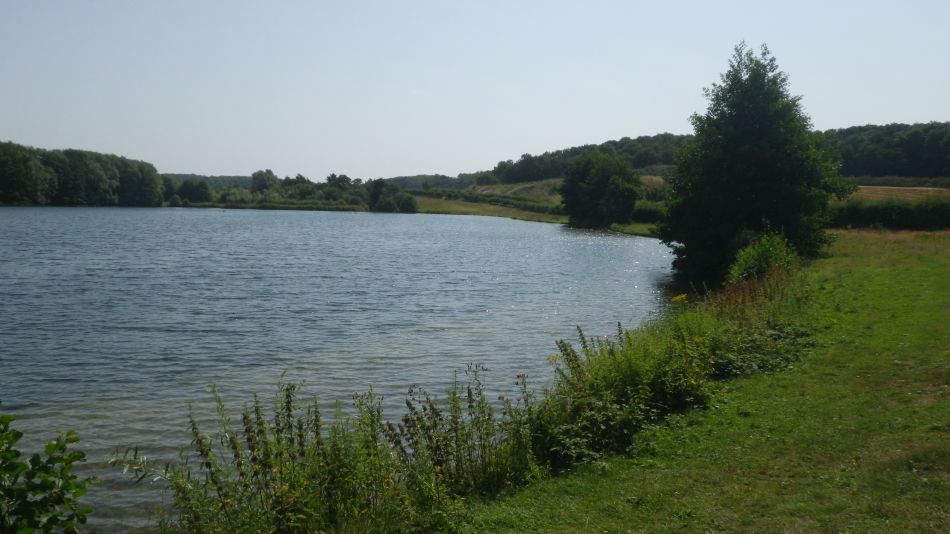 2019-07-25 08 Homersfield.jpg