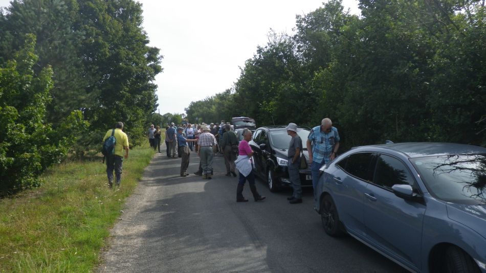 2019-08-21 01 Homersfield.jpg