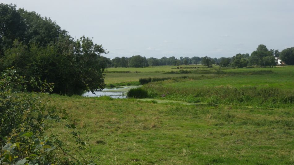 2019-08-21 02 Homersfield.jpg