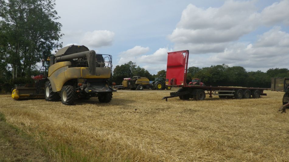 2019-08-21 04 Homersfield.jpg