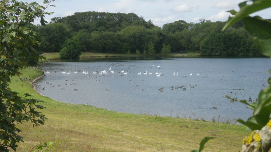 2019-08-21 05 Homersfield.jpg